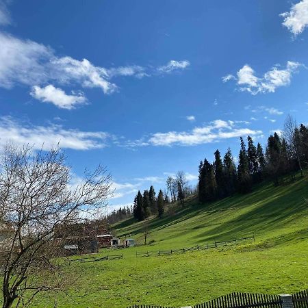 Apartamenty u Basi Lesnica  Bagian luar foto