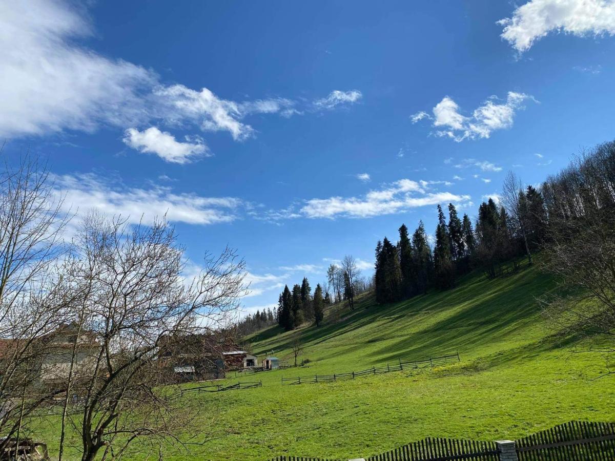 Apartamenty u Basi Lesnica  Bagian luar foto